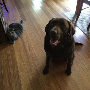 Meet your Posher, Tammy